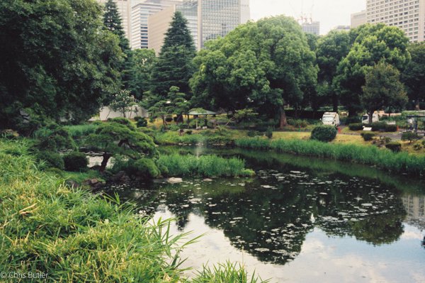 Golden Hour Architecture